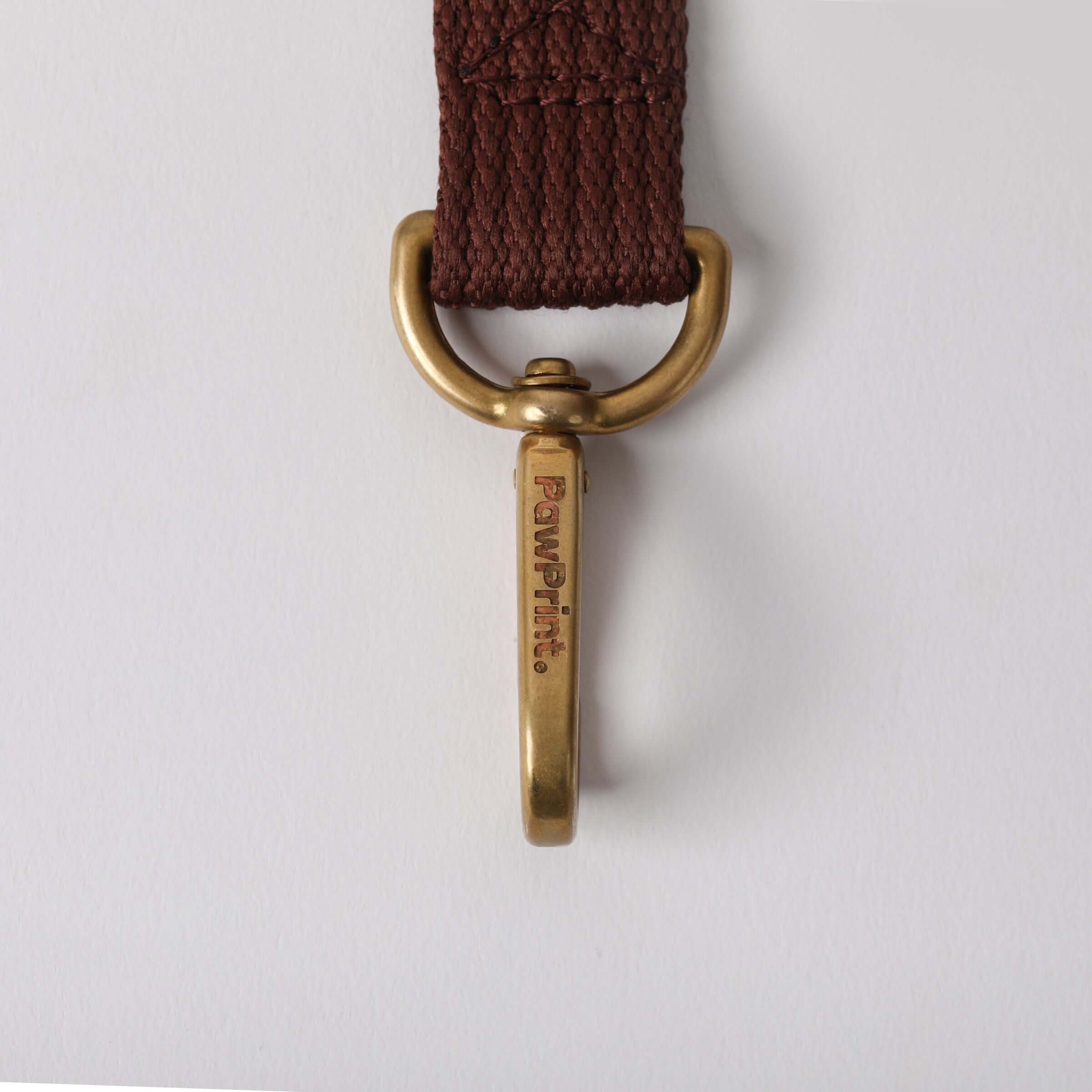 Paw Print Tide Leash Earth