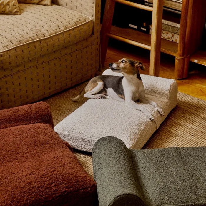 Hommey Boucle Pet Bed
