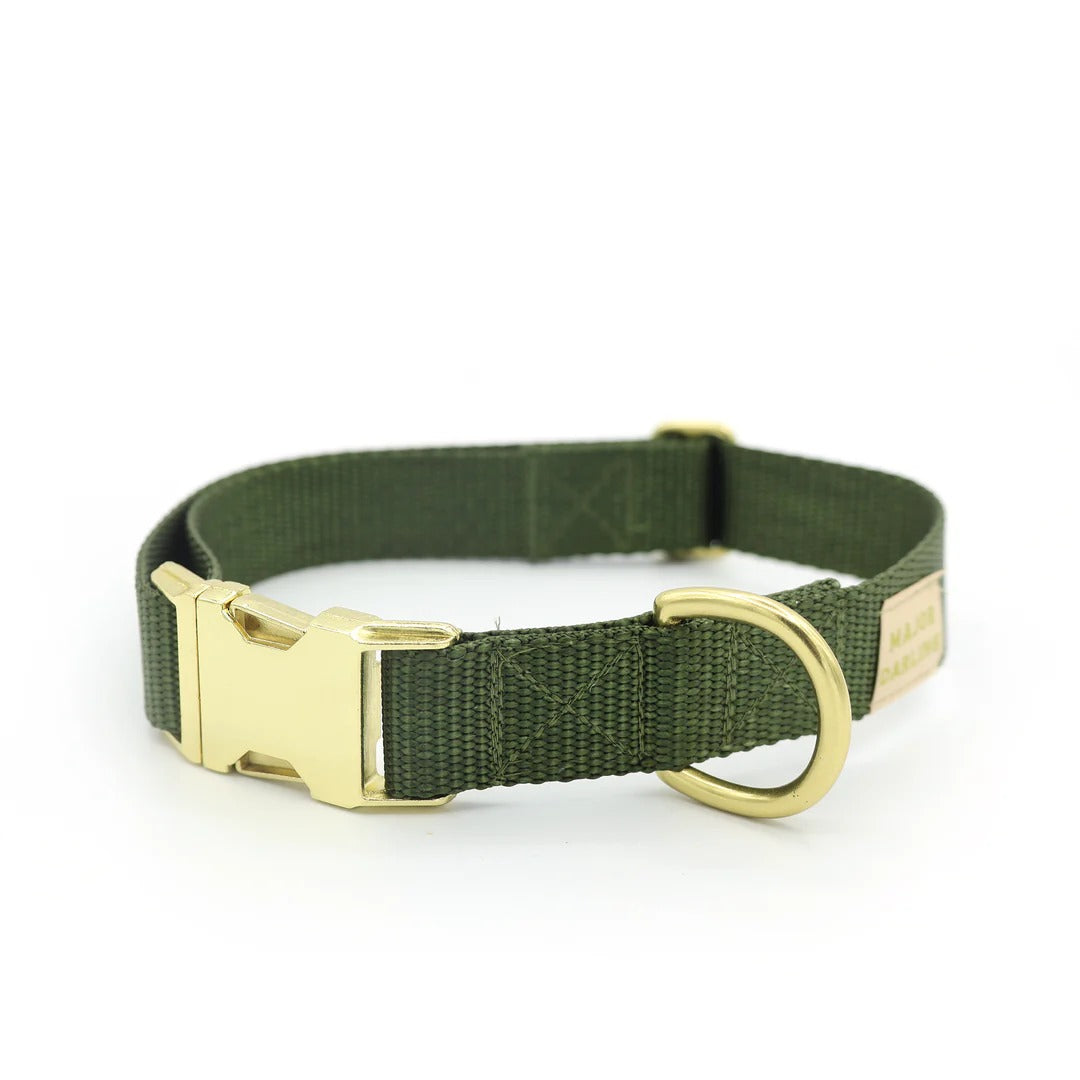 Major Darling Brass Snap Collar
