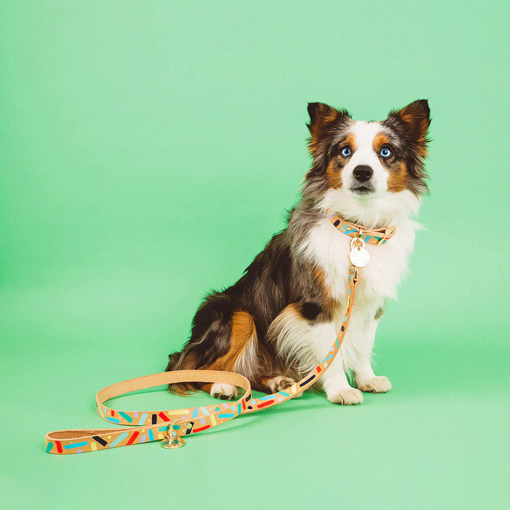 Nice Digs Leather Dog Leads