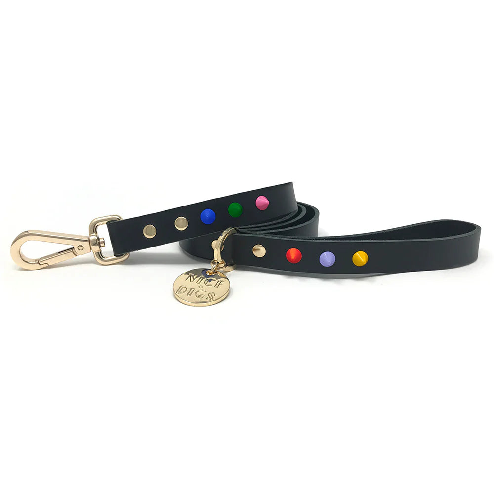 Nice Digs Leather Dog Leads