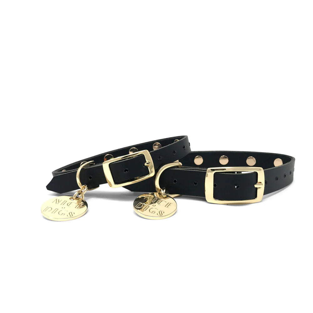 Nice Digs Smooth Spike Leather Dog Collar - Gold Noir