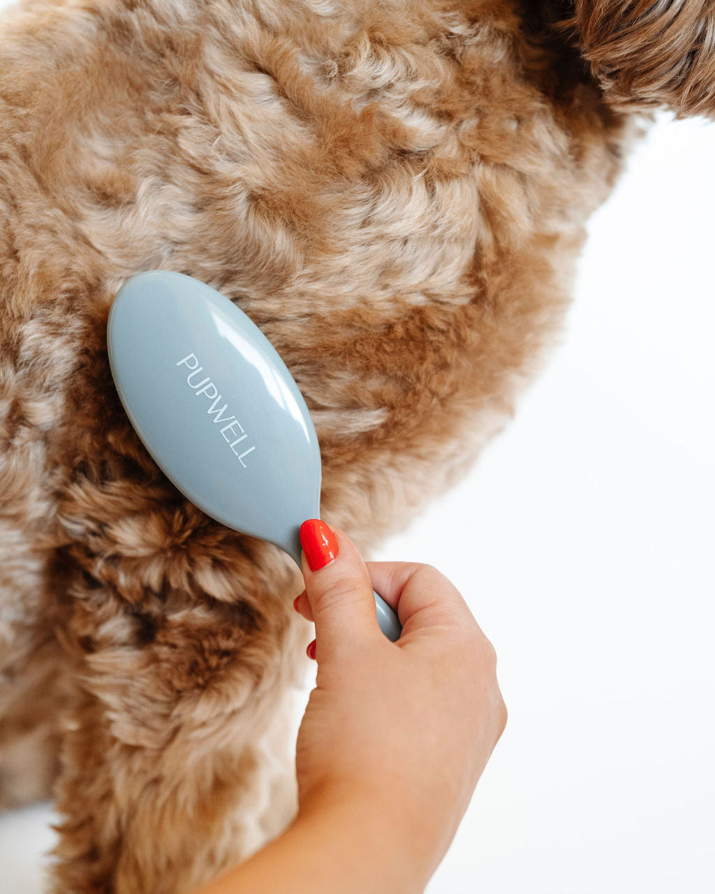 Pupwell Gentle Detangling Brush