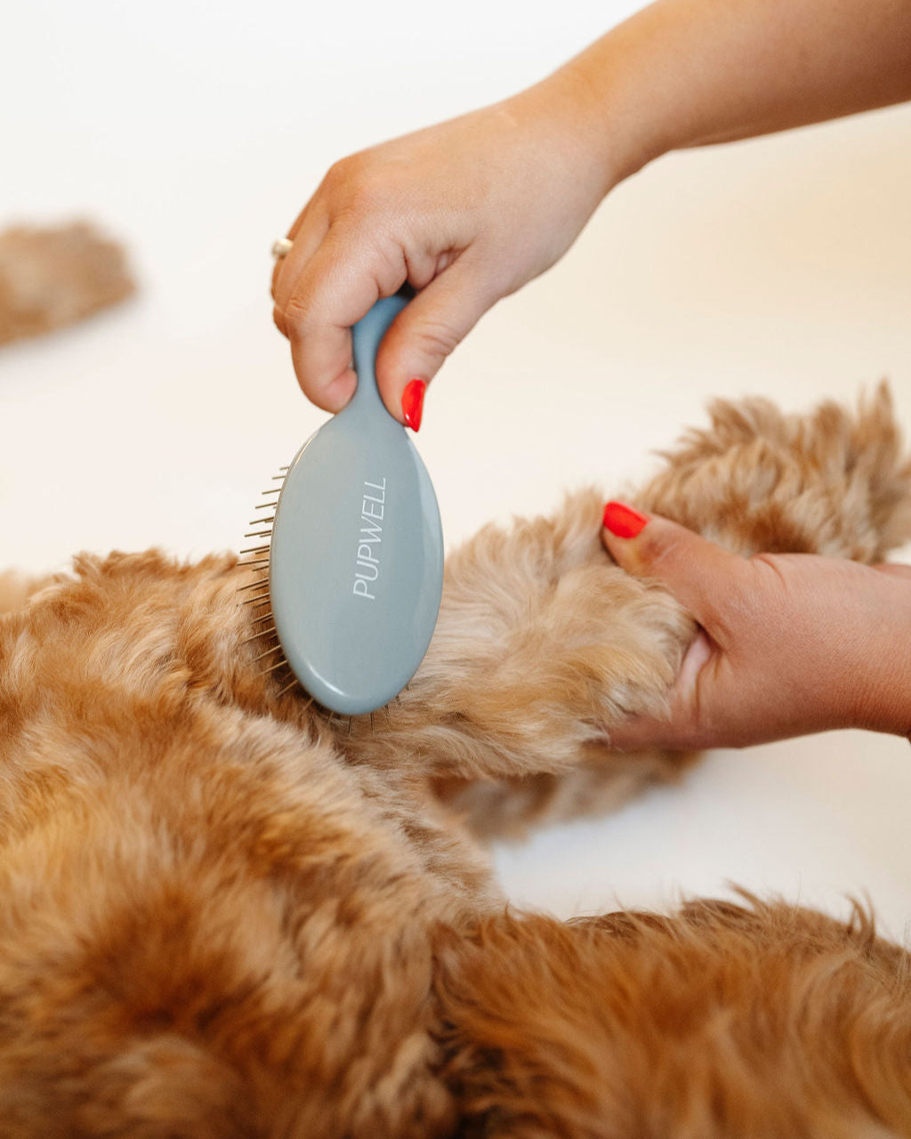 Pupwell Gentle Detangling Brush