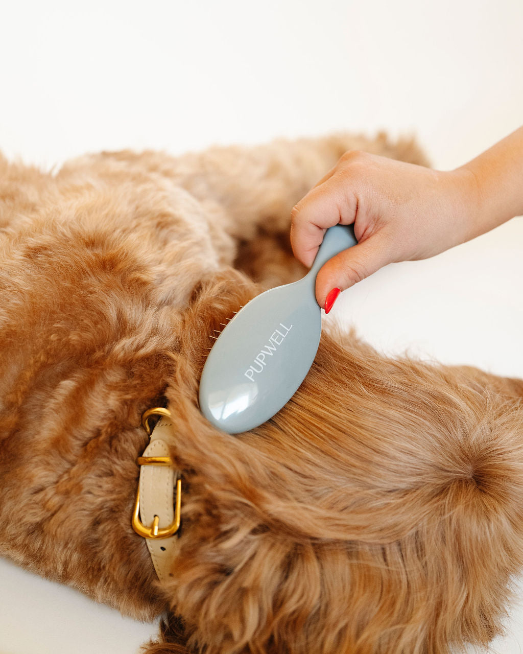 Pupwell Gentle Detangling Brush