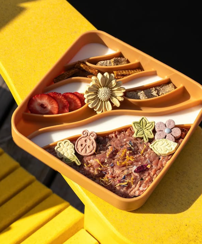 Dogged Beach Slow Feeder Bowl