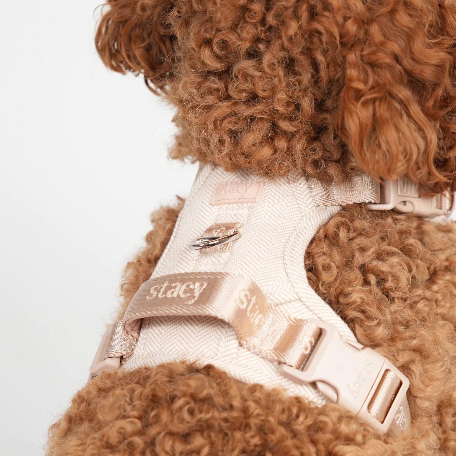 Staey - Elma Active Harness