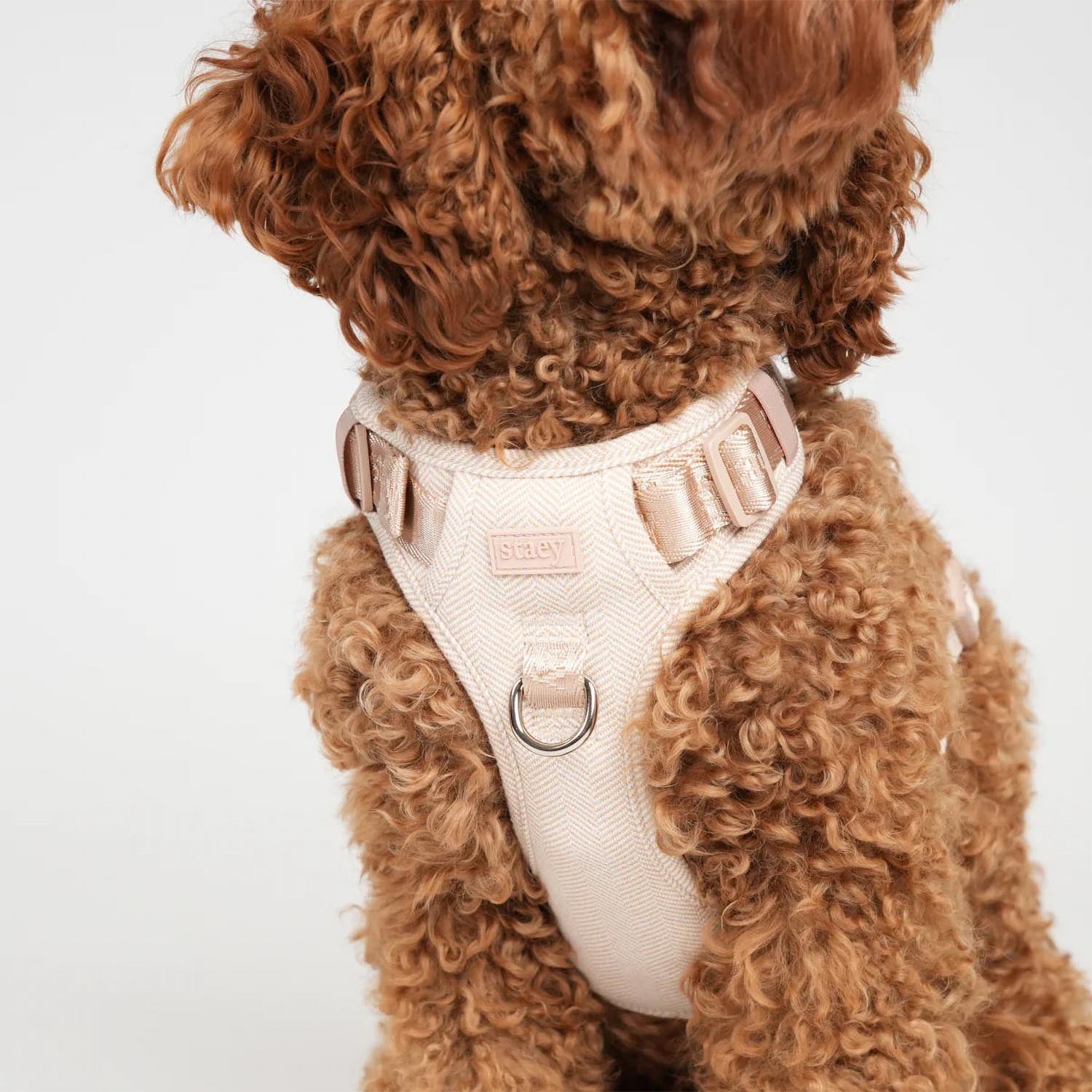 Staey - Elma Active Harness