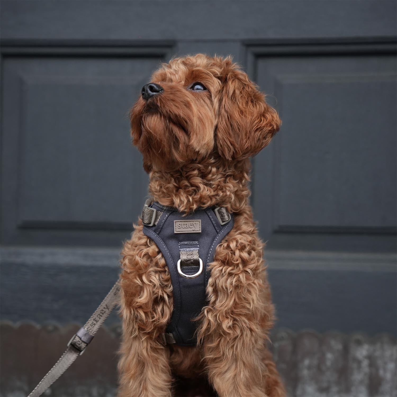 Staey - Elma Active Harness