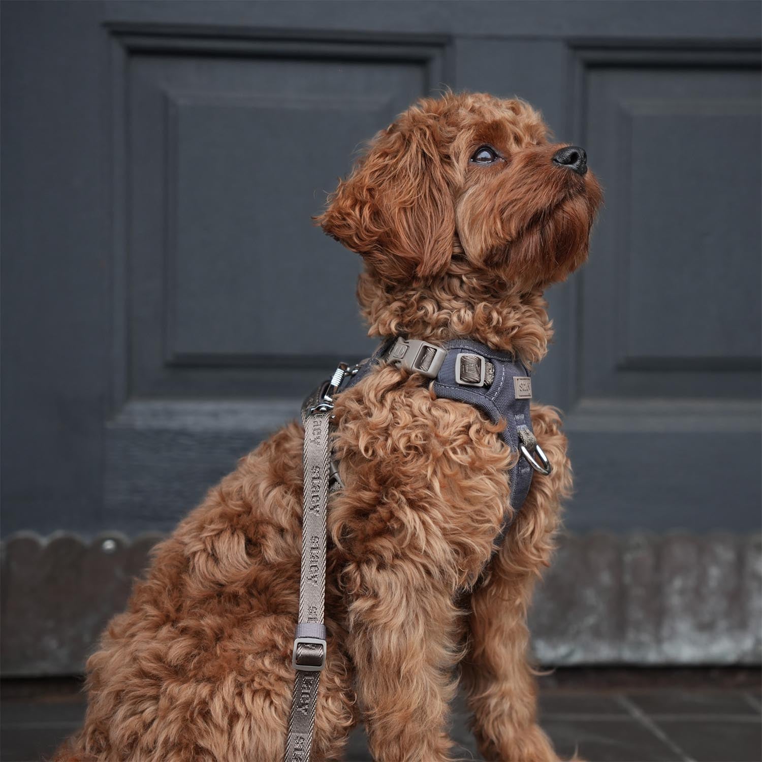 Staey - Elma Active Harness