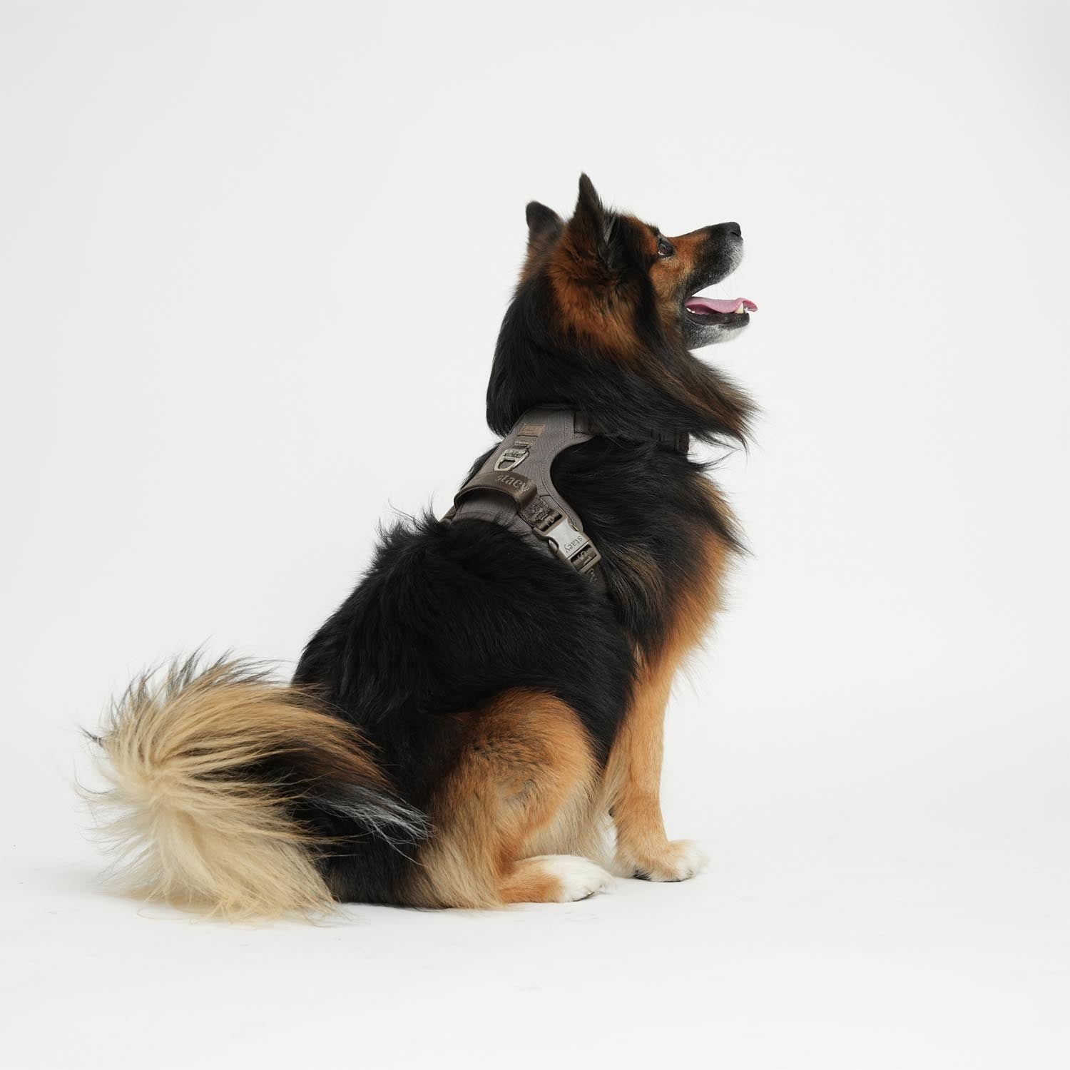 Staey - Elma Active Harness