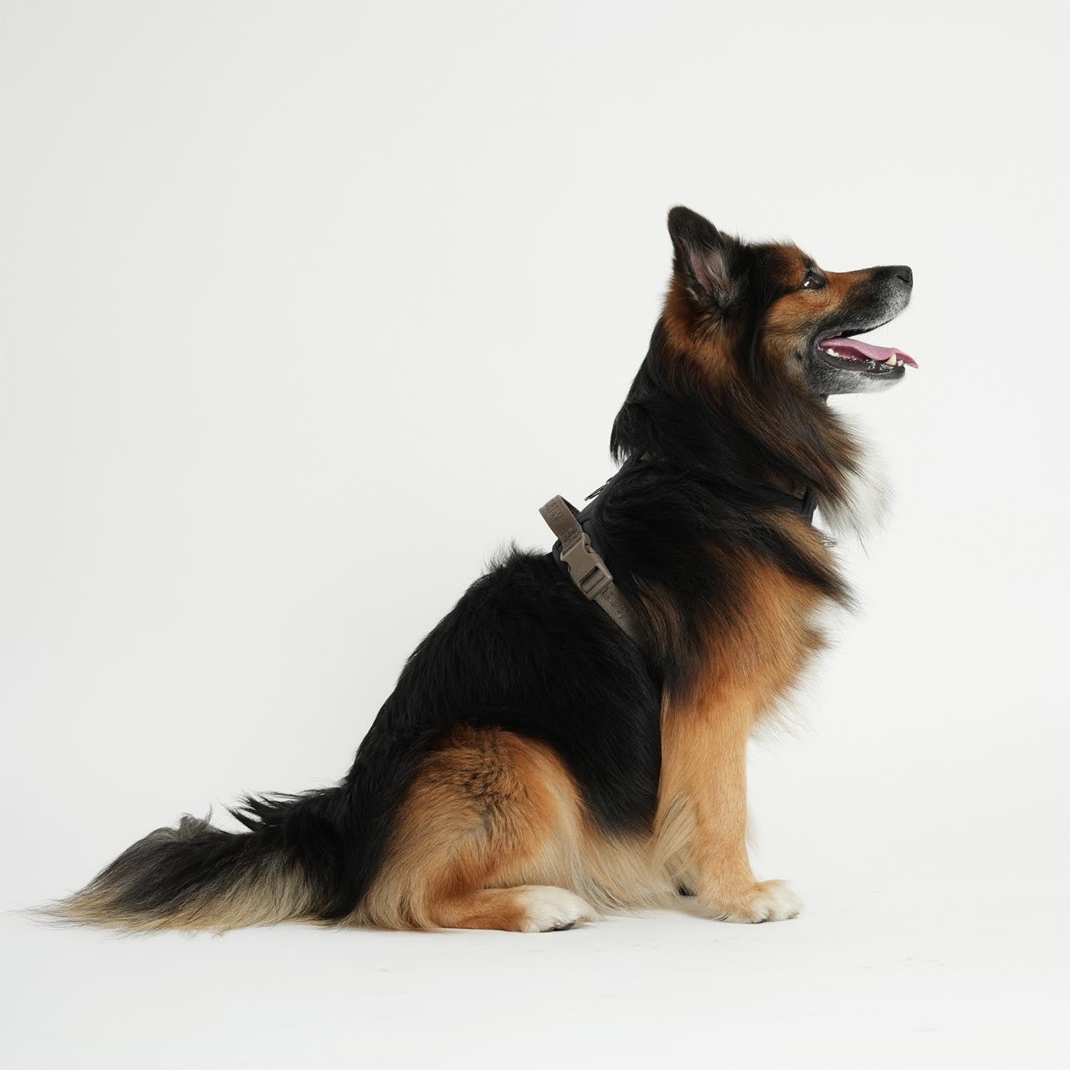 Staey - Elma Active Harness