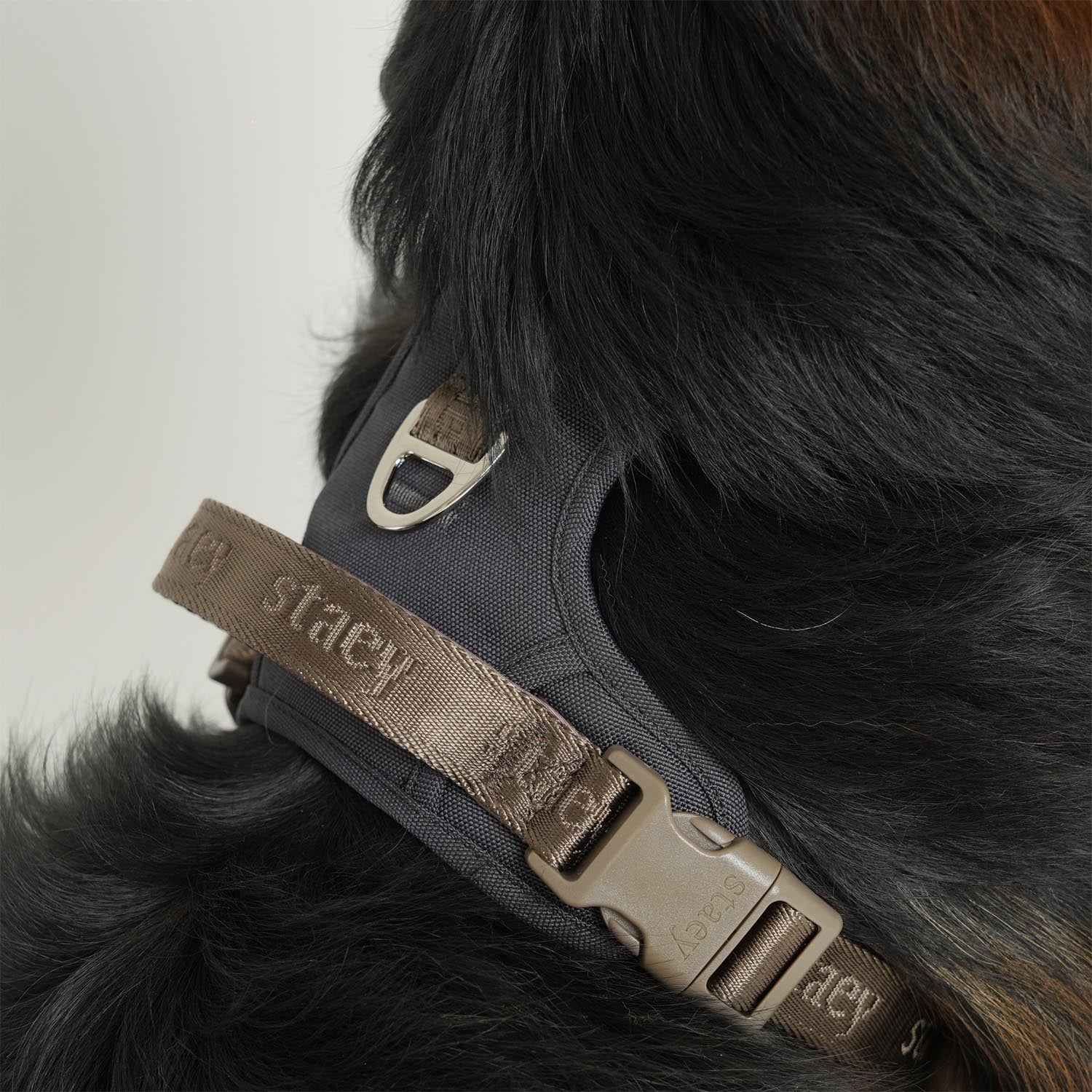 Staey - Elma Active Harness