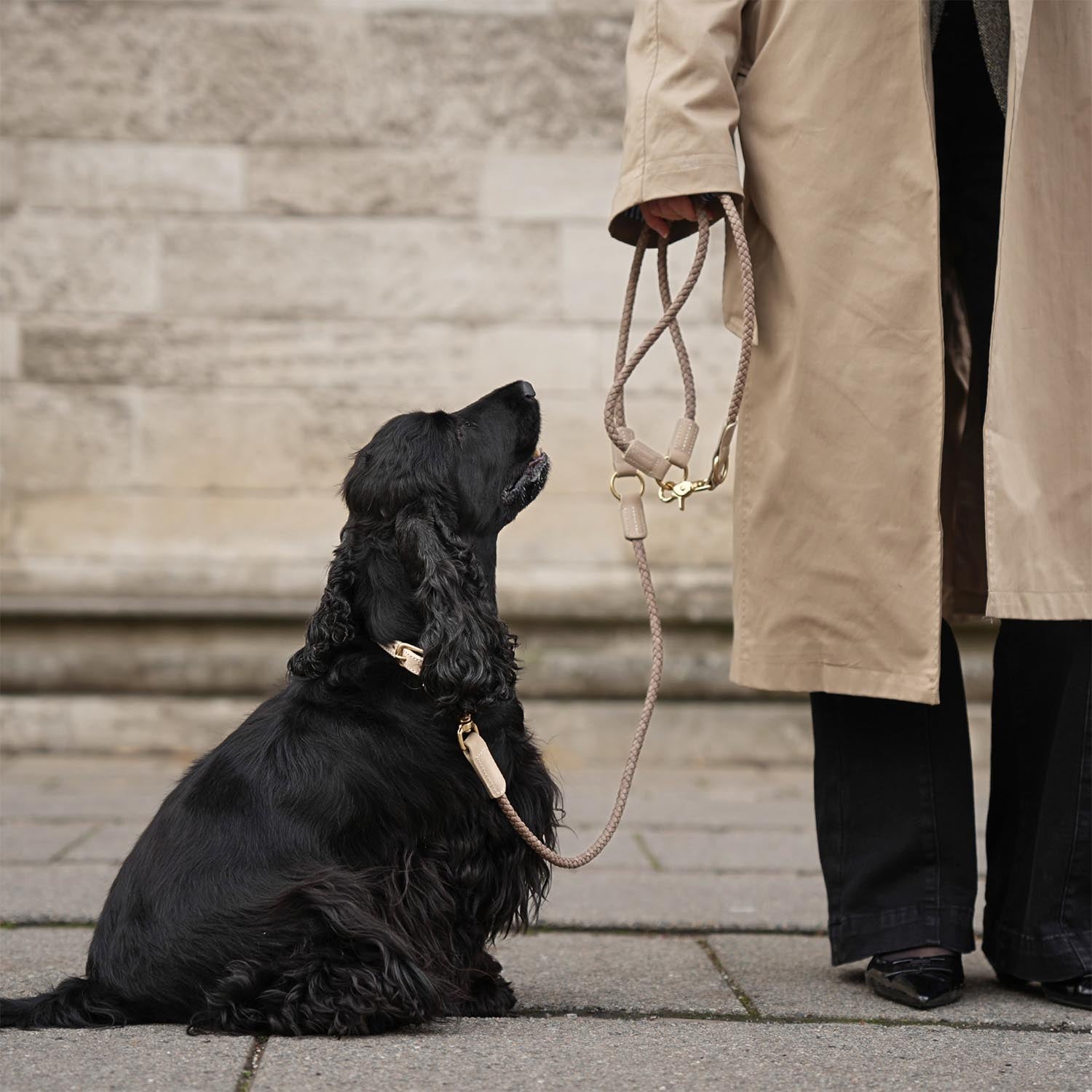Staey - Kaia Braided Leash