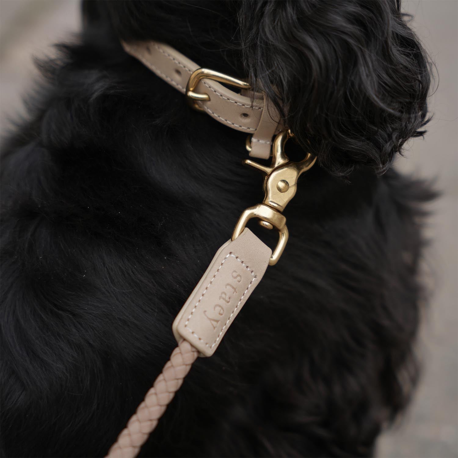 Staey - Kaia Braided Leash