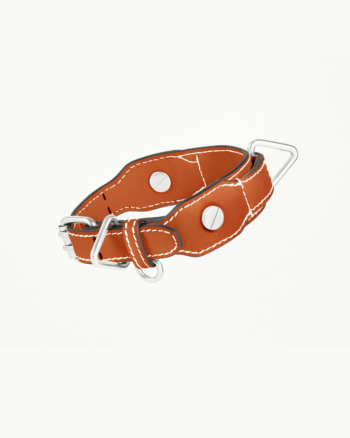 The Animals Classique Collar