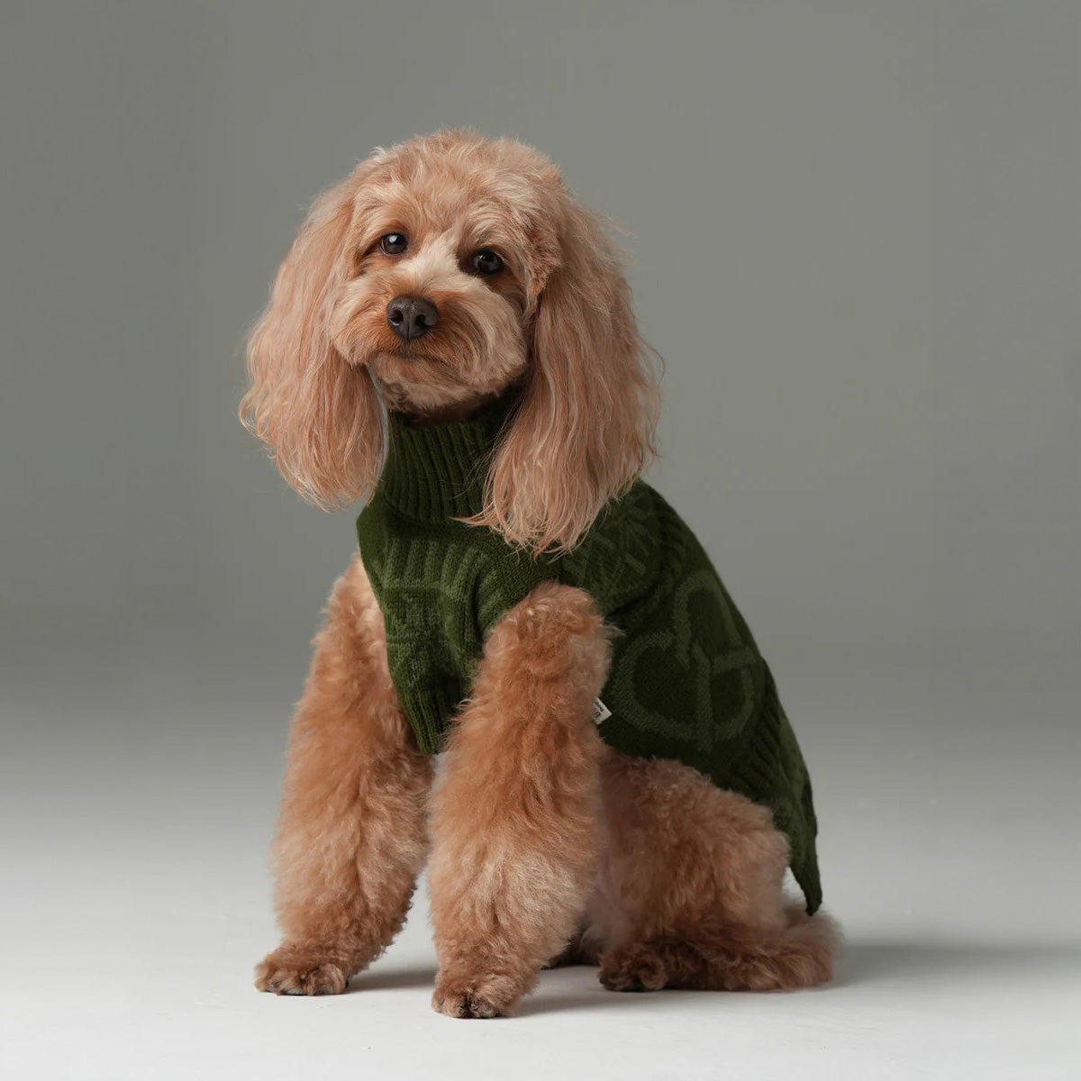 Pehom Pretzel Pet Sweater