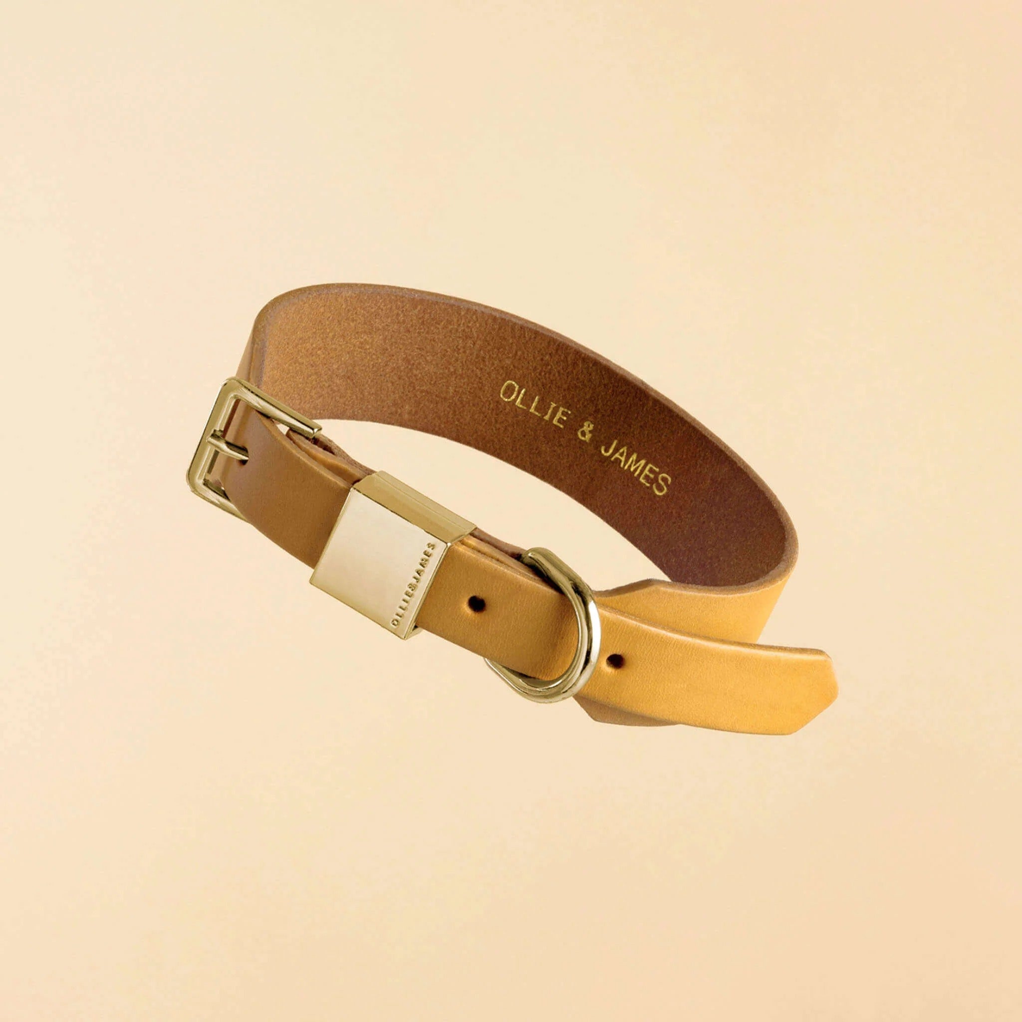 Ollie and James Italian Leather Dog Collar