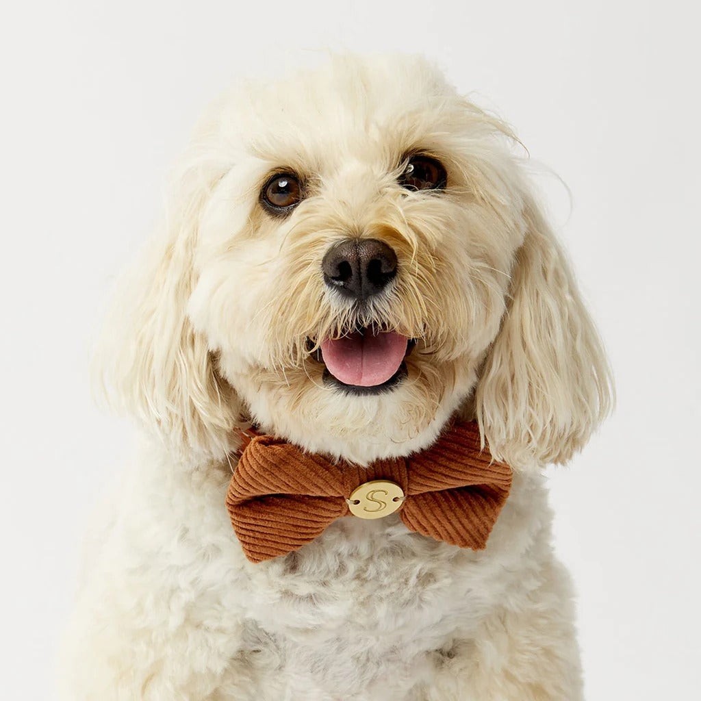 Sebastian Says Bow Tie