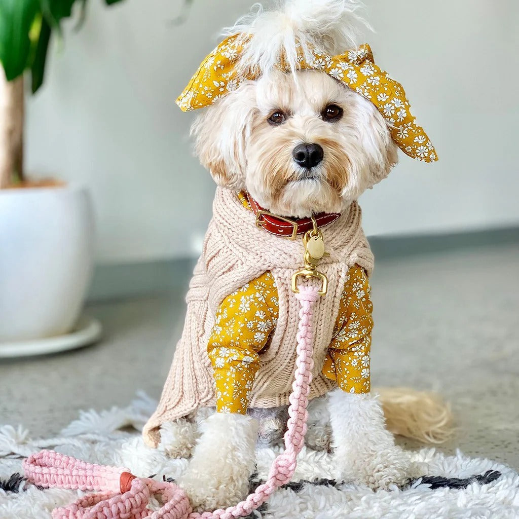 Sebastian Says Macramé Originals Dog Lead