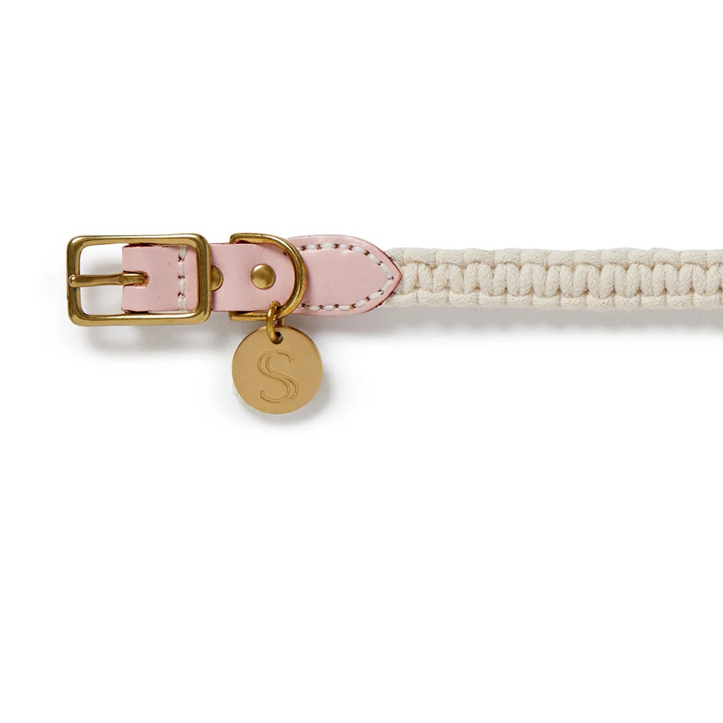 Sebastian Says Macrame/ Leather Dog Collar