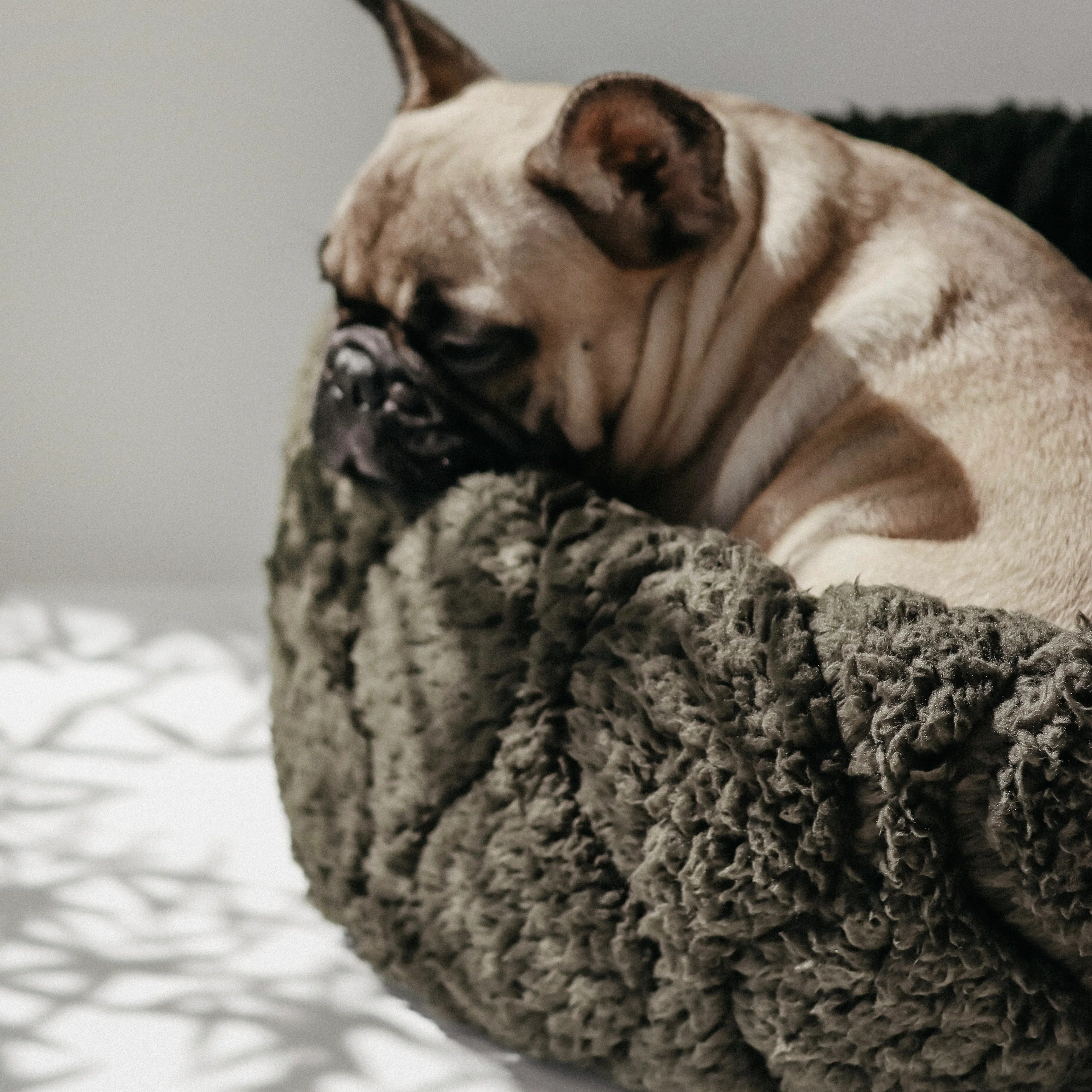 Lambwolf Collective - Reversible Donut Bed