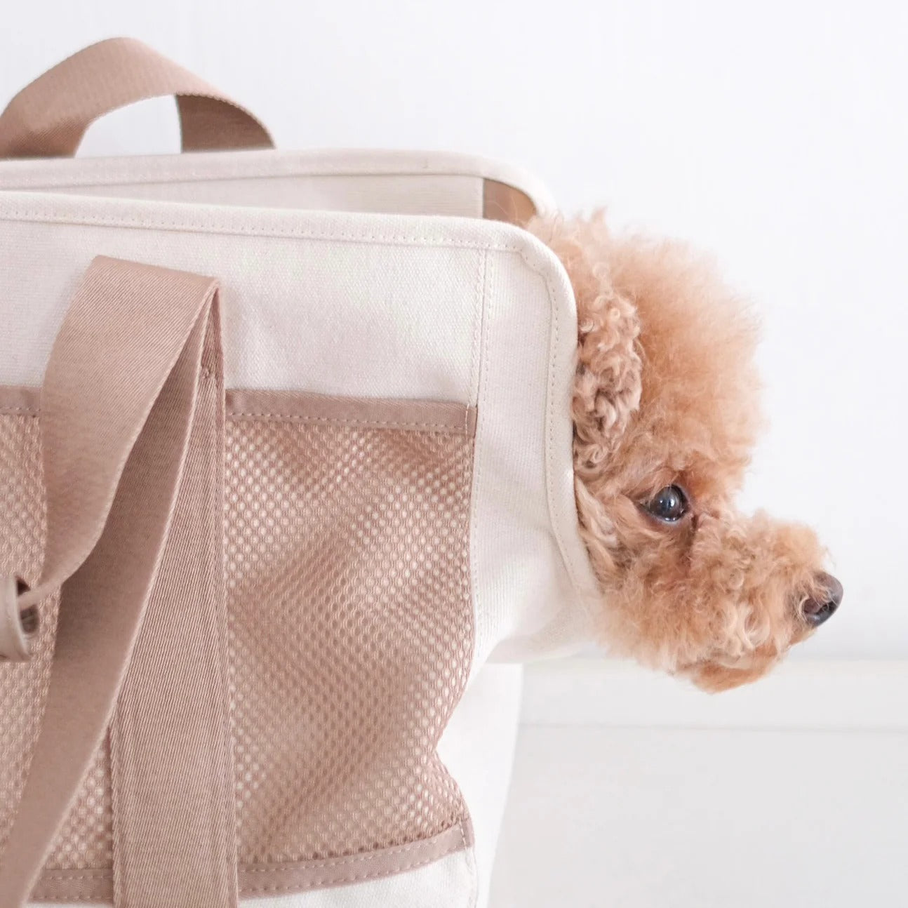 Lambwolf Collective - Subway Pet Carrier