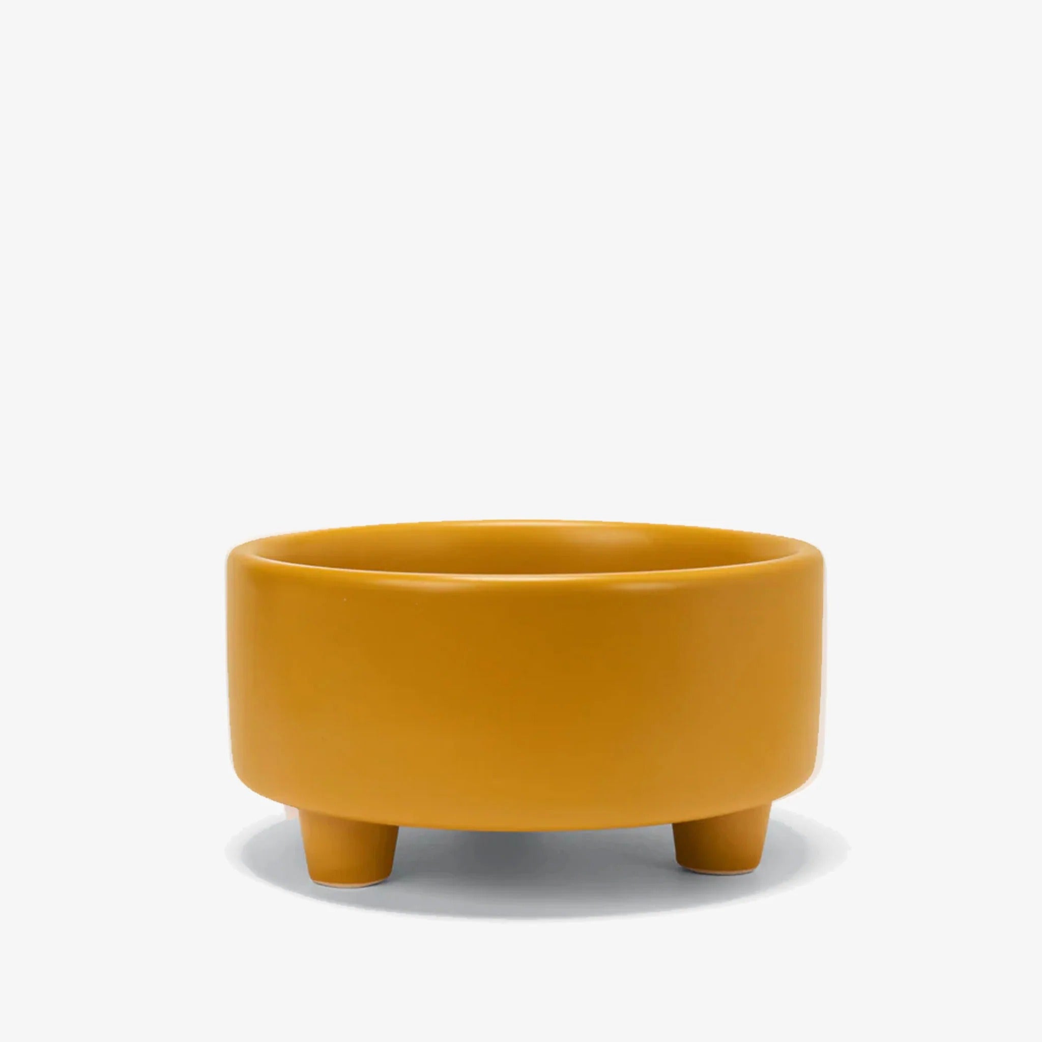 Waggo Uplift Ceramic Dog Bowl