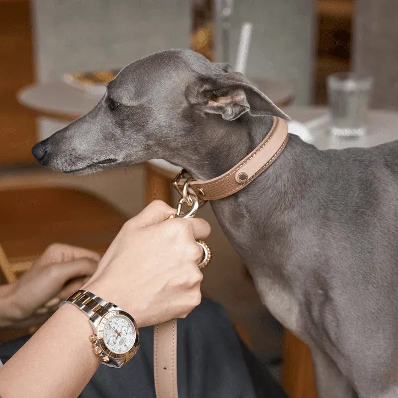 Bondir Slim Leather Collar