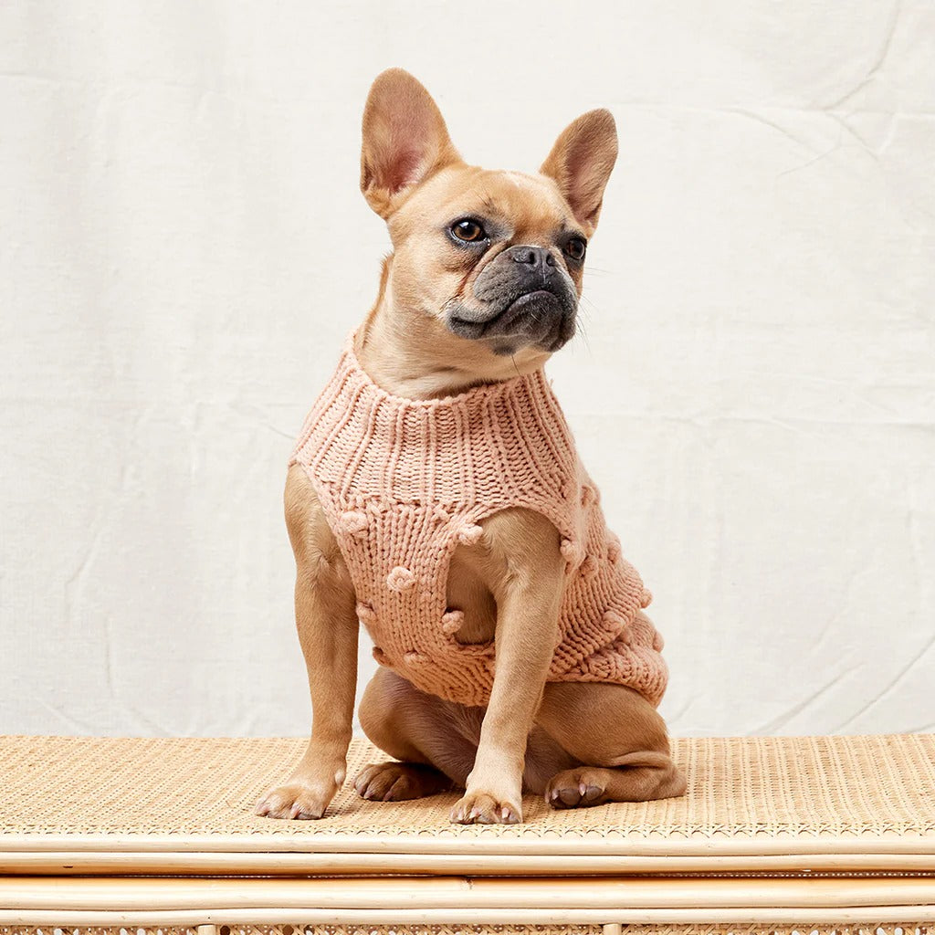 Sebastian Says Merino Wool Bobble Knit Dog Sweater
