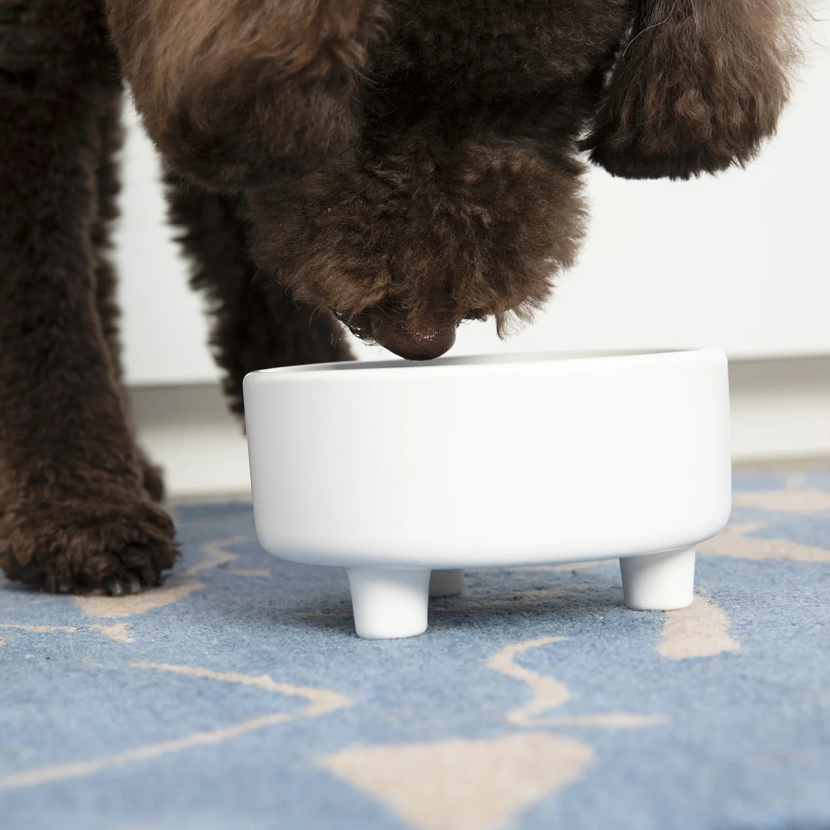 Waggo Uplift Ceramic Dog Bowl