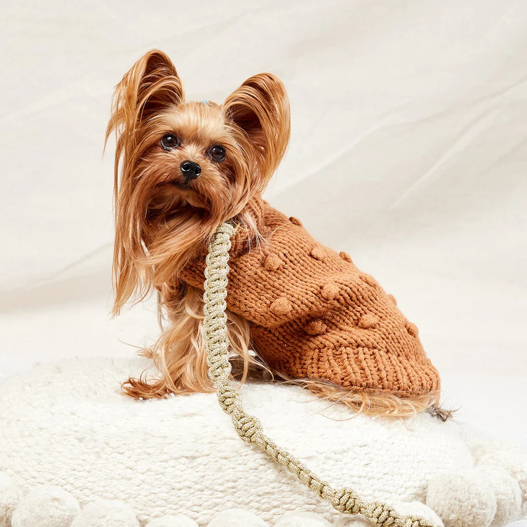 Sebastian Says Merino Wool Bobble Knit Dog Sweater