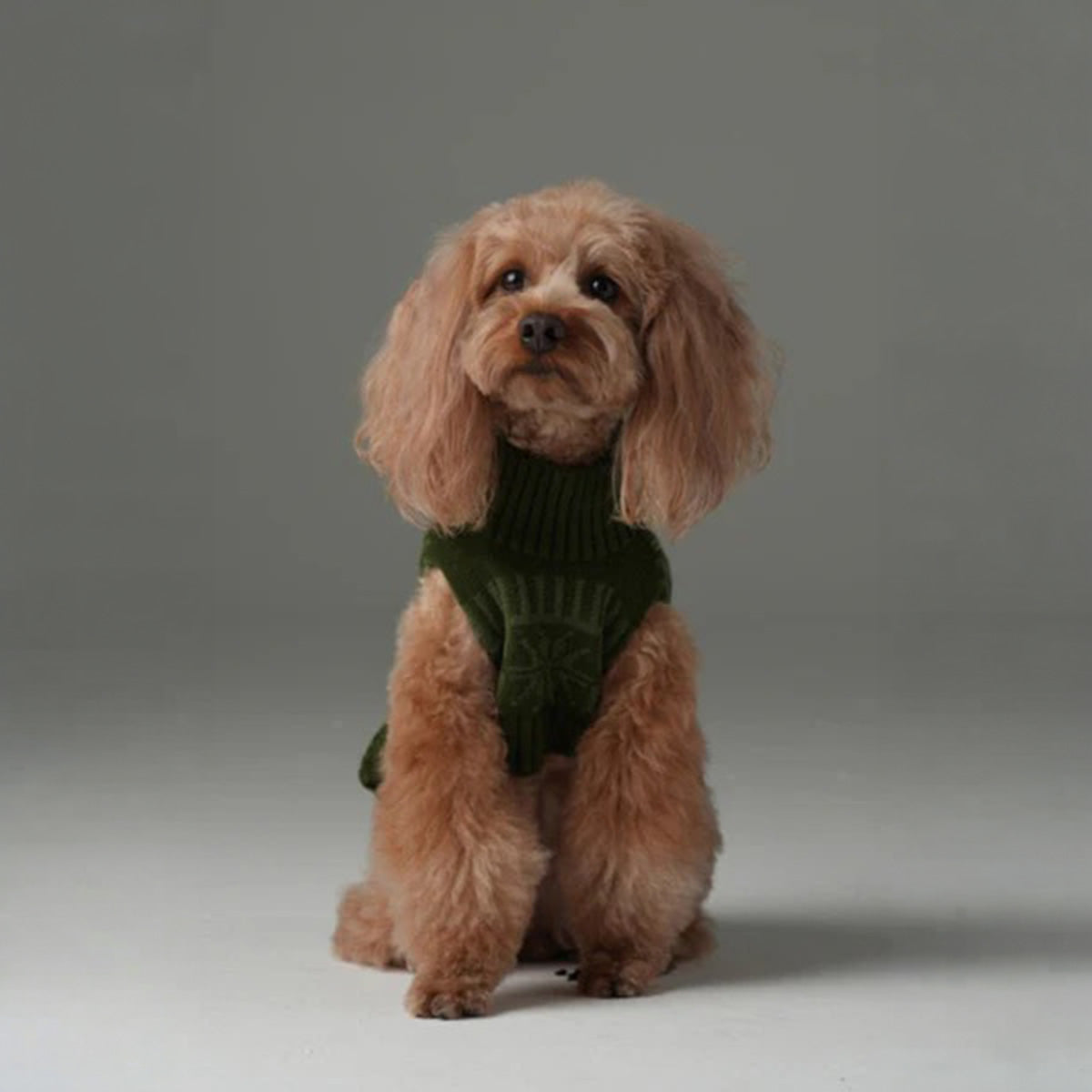 Pehom Pretzel Pet Sweater