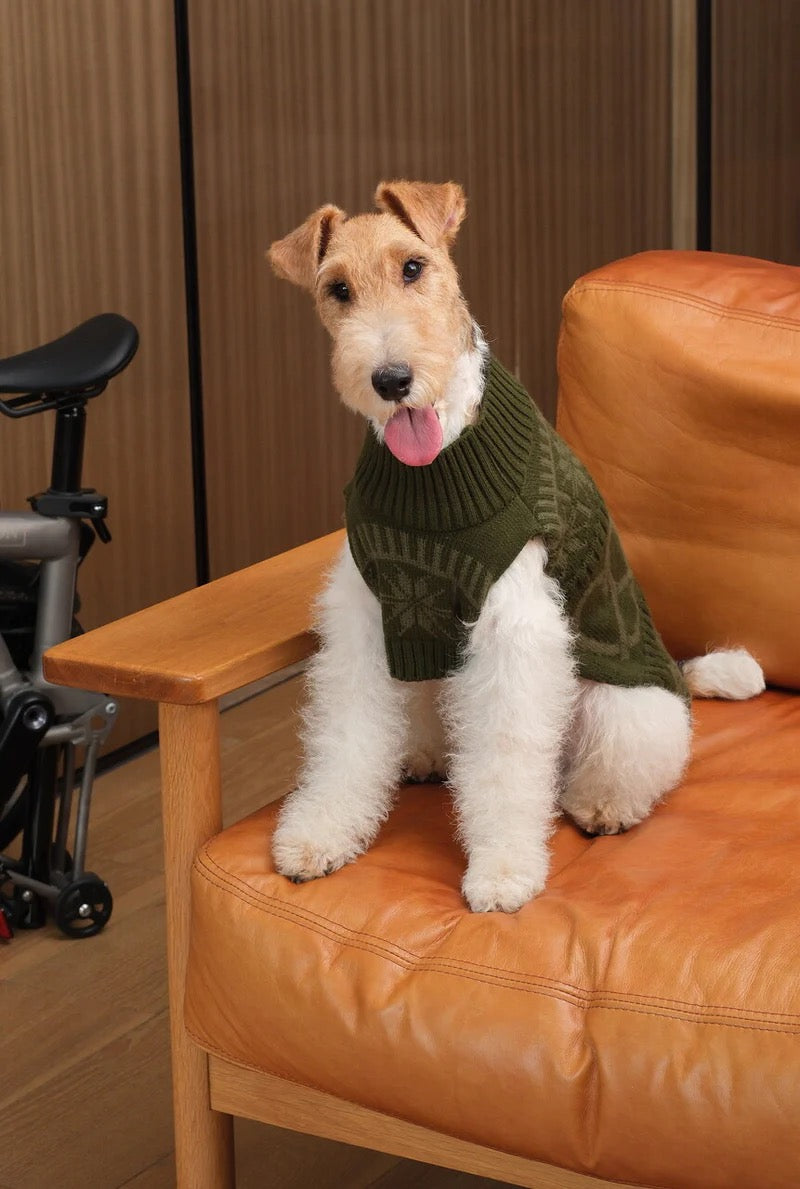 Pehom Pretzel Pet Sweater