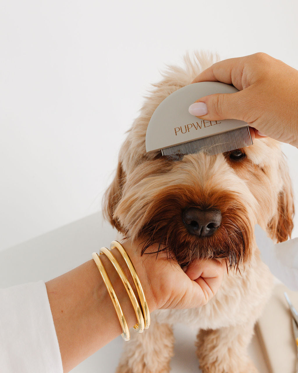 Pupwell The Detailer Comb
