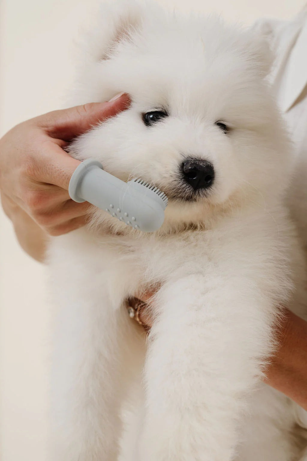 Pupwell Puppy Breath Tooth Brush
