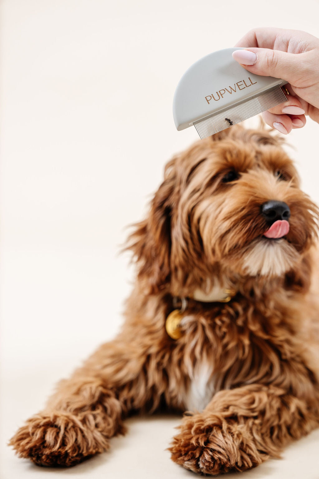 Pupwell The Detailer Comb