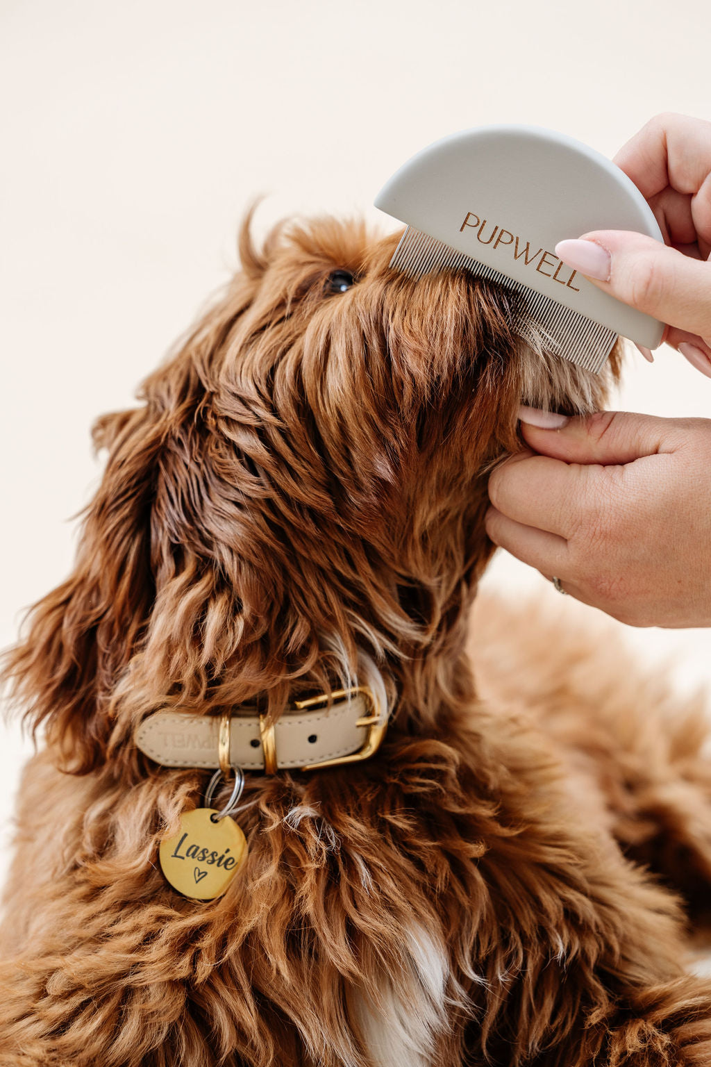 Pupwell The Detailer Comb