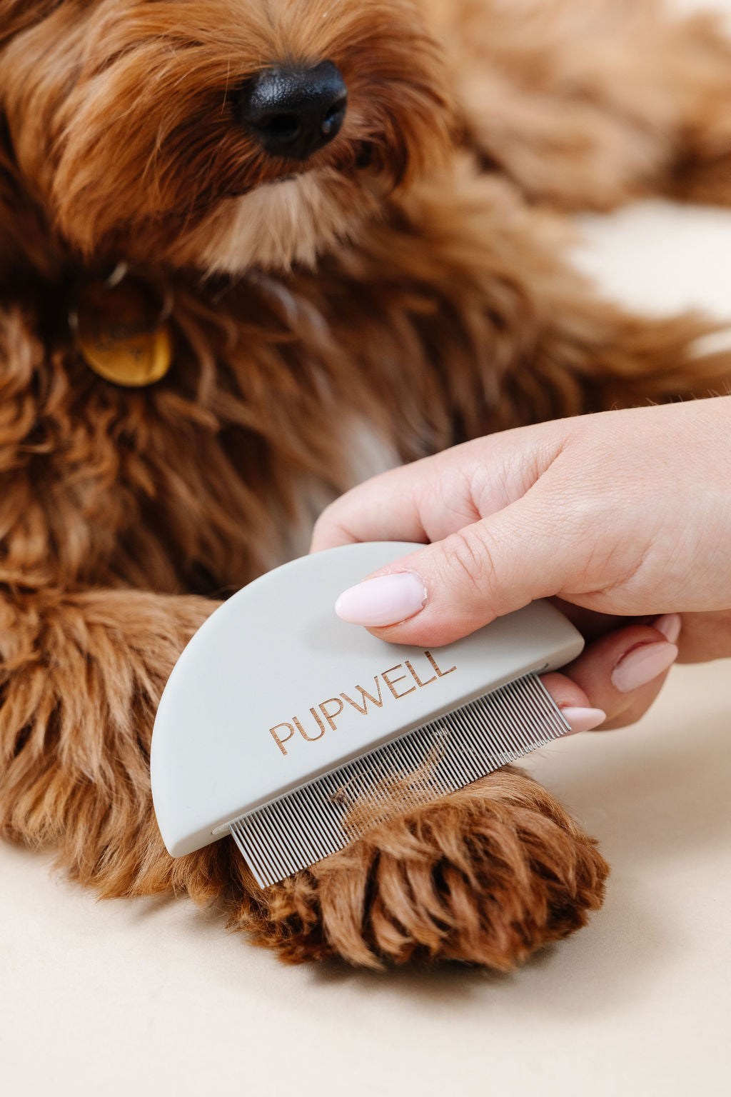 Pupwell The Detailer Comb