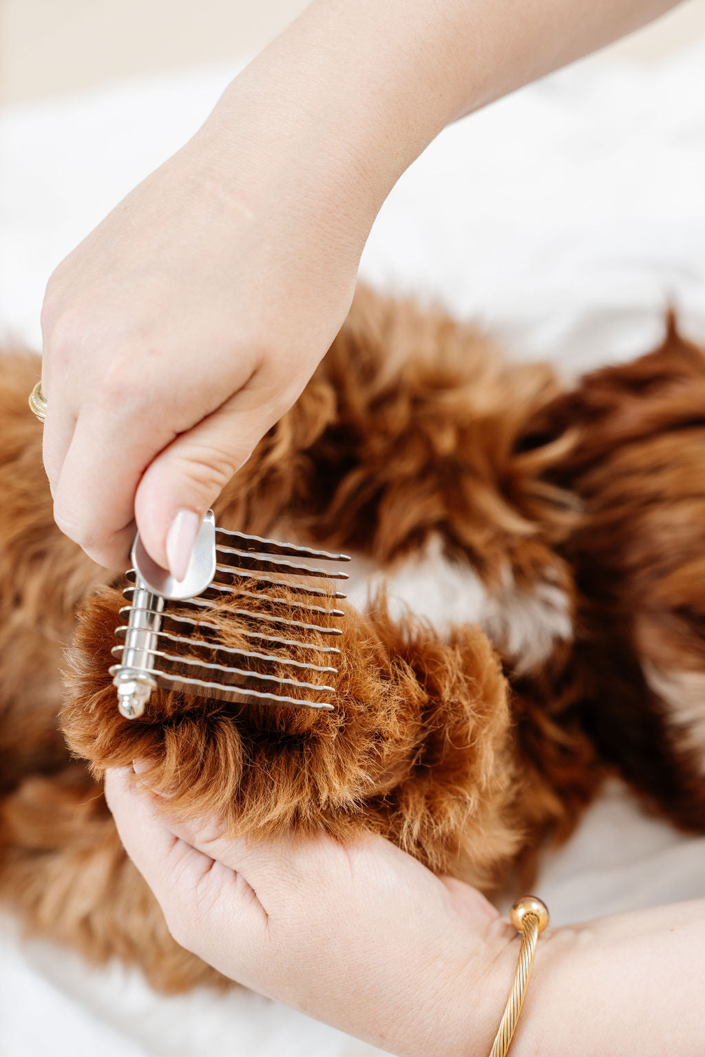 Pupwell Dematting Comb