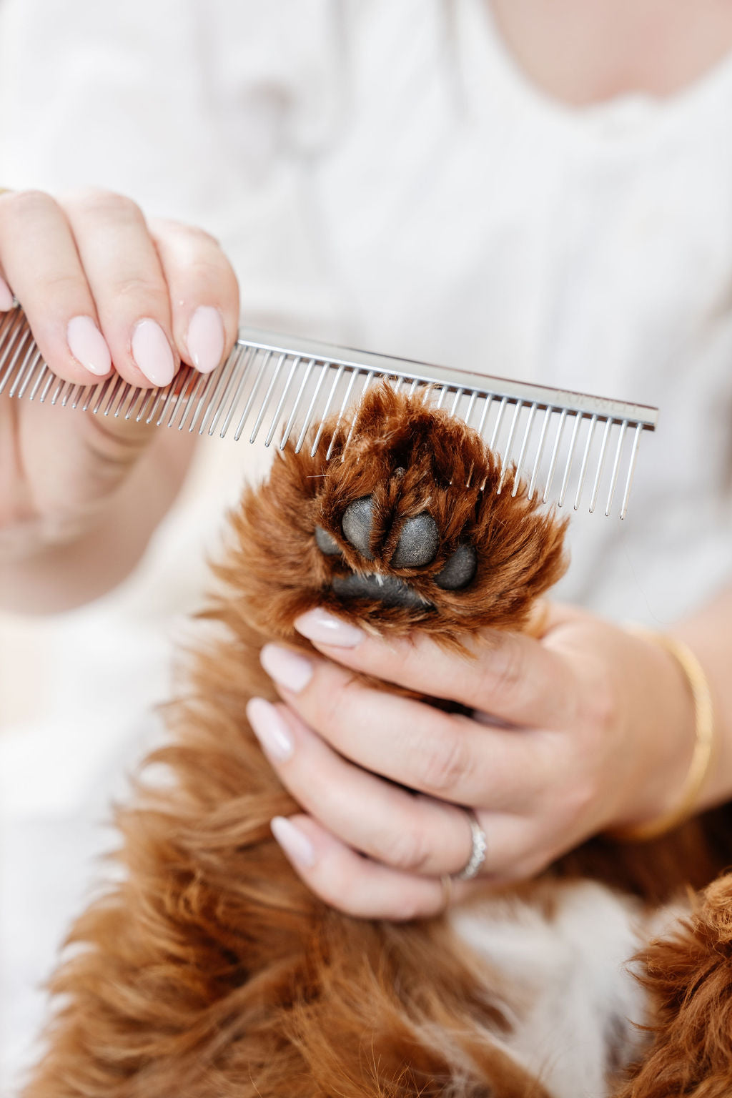 Pupwell- The Everyday Comb