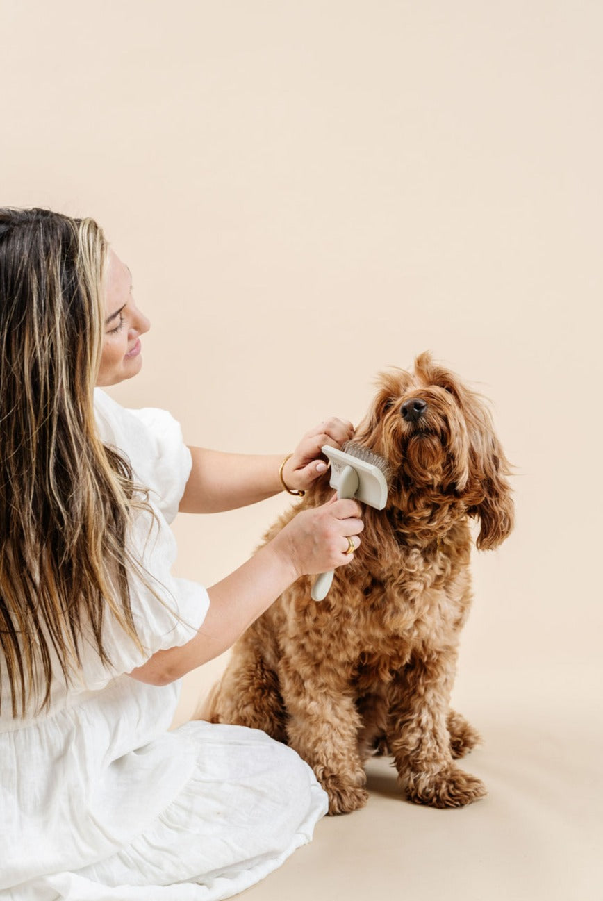 Pupwell Everyday Slicker Brush