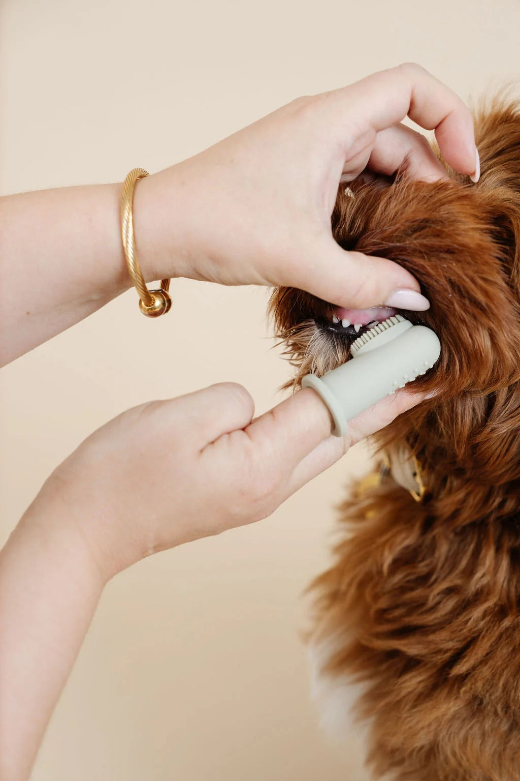 Pupwell Puppy Breath Tooth Brush