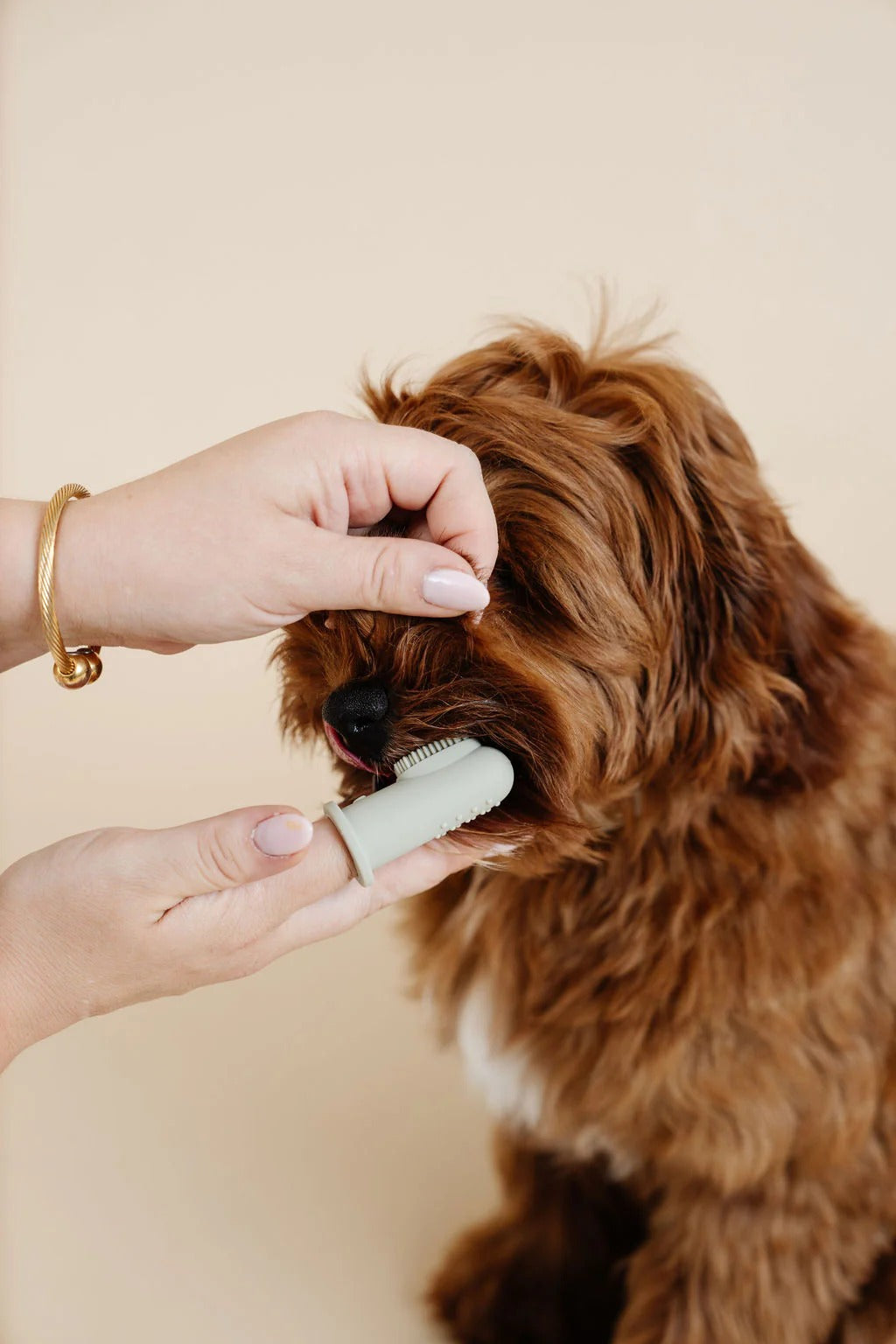 Pupwell Puppy Breath Tooth Brush