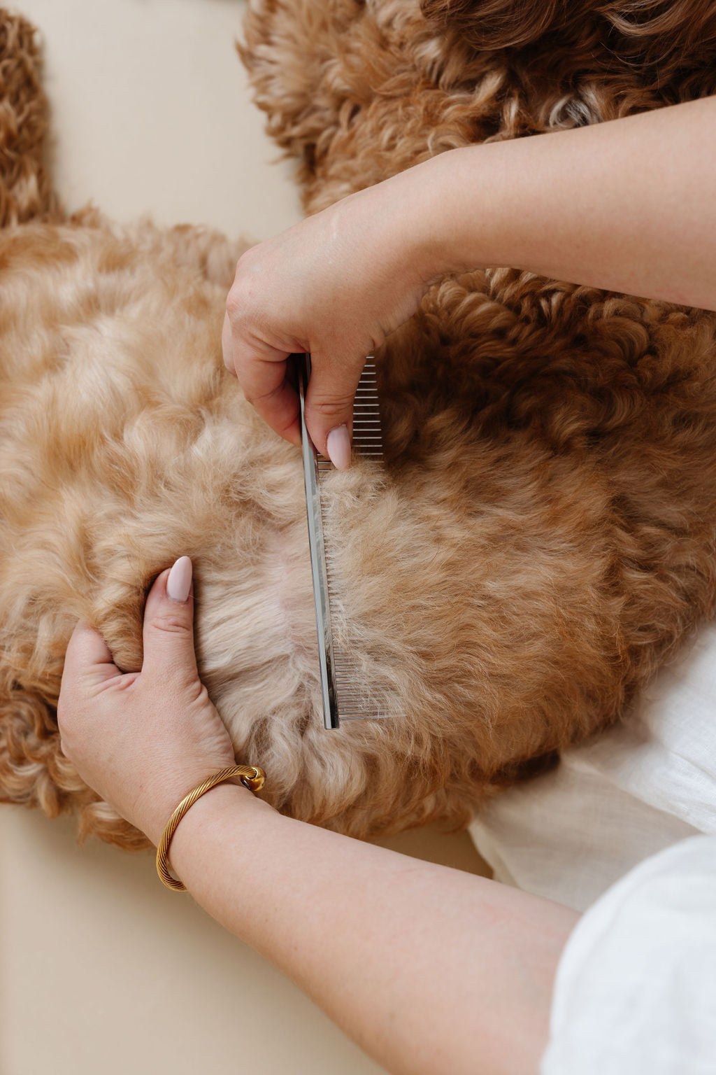 Pupwell- The Everyday Comb