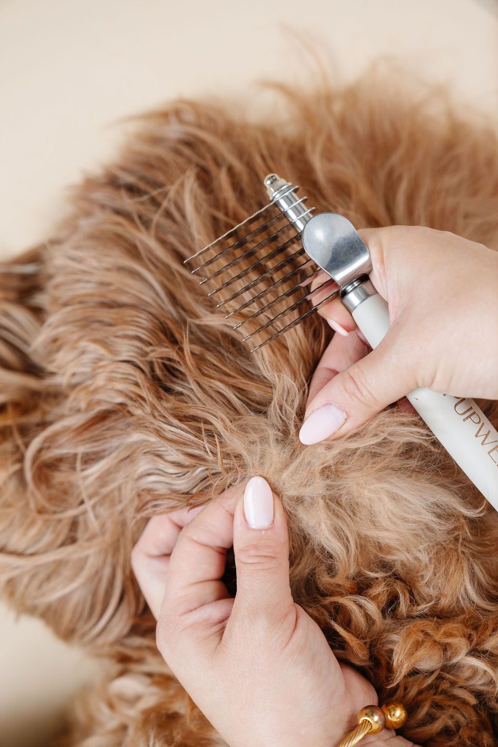 Pupwell Dematting Comb