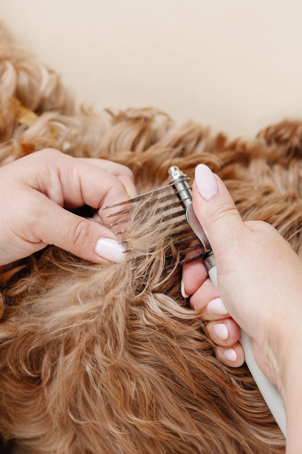 Pupwell Dematting Comb
