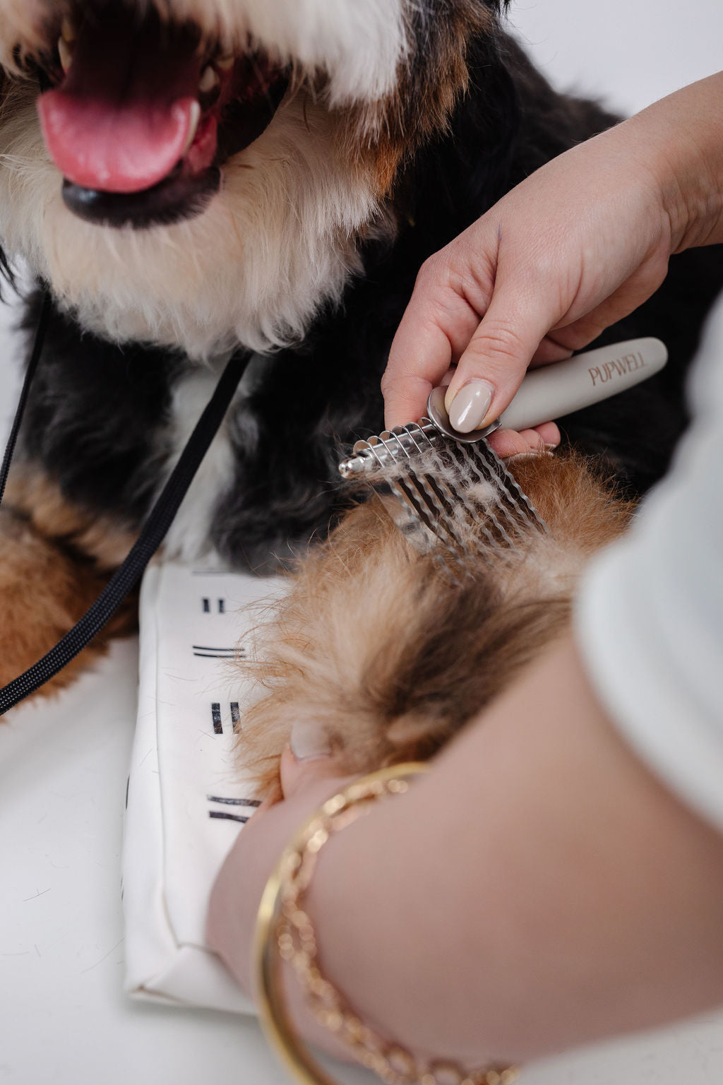 Pupwell Dematting Comb